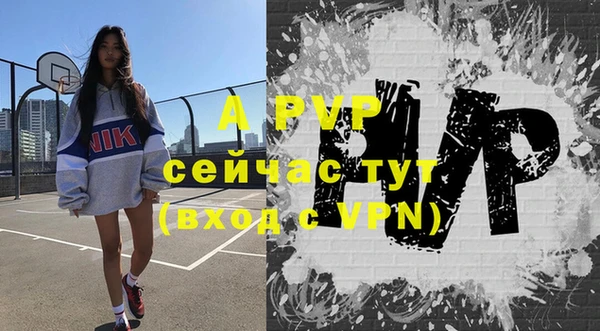 спиды Богородск