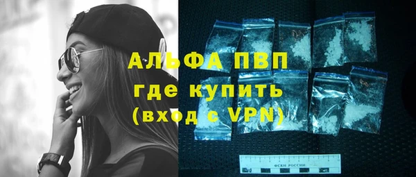 спиды Богородск