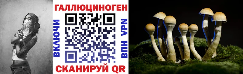 сколько стоит  Дмитриев  Галлюциногенные грибы MAGIC MUSHROOMS 